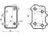 Radiador de aceite Oil Cooler:997.107.025.00